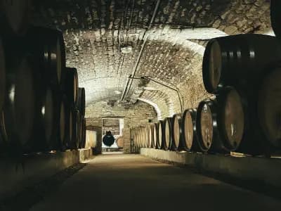 El Xampanyet — barcelona