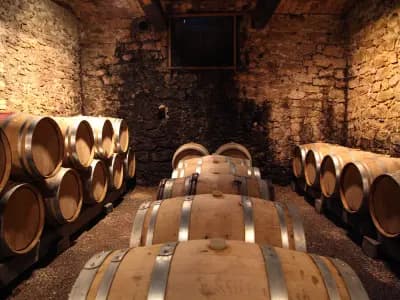 Wine Tasting Le Marais — paris