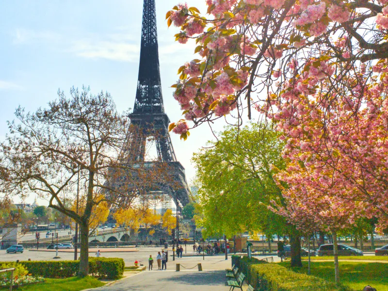 Bike Tour Paris photo 3