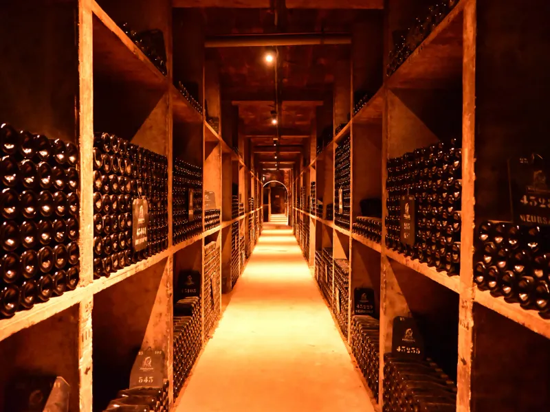 Wine Tasting Le Marais photo 3