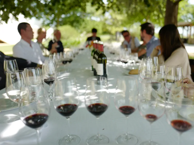 Wine Tasting Le Marais photo 4