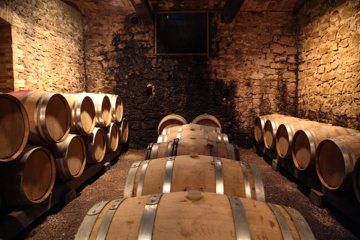 Wine Tasting Le Marais — photo 1