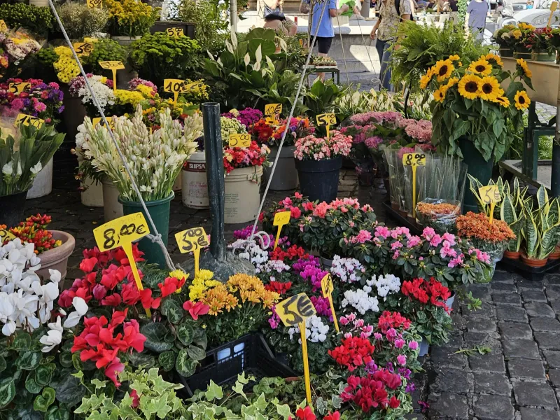 Campo de' Fiori Market photo 2