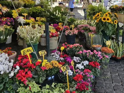 Campo de' Fiori Market — rome